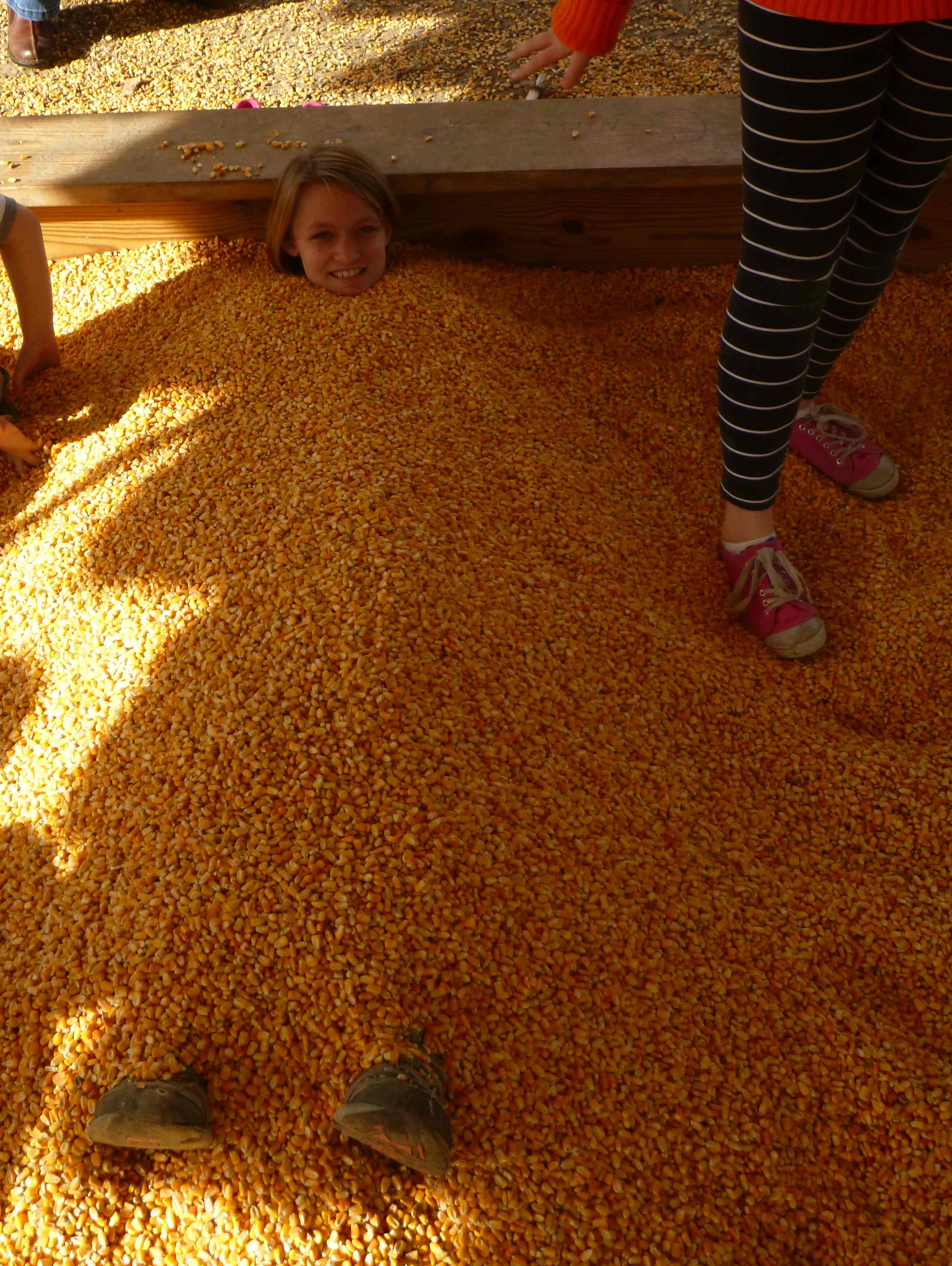 2014-10-19 Cate Corn Bin.jpg
